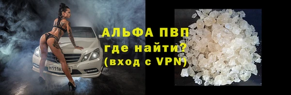 СК Бородино