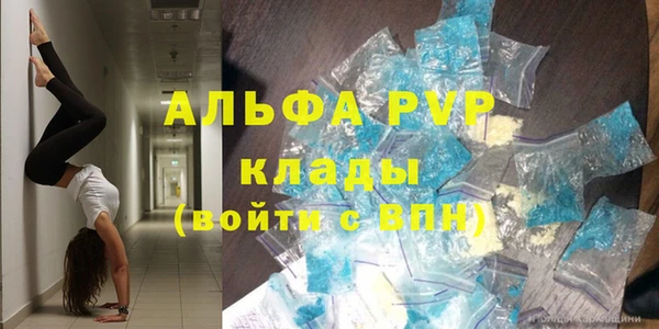 СК Бородино