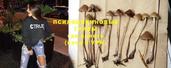 СК Бородино